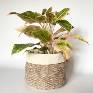 Cestino in tessuto testurizzato fatto a mano, coprivaso foderato in cotone, decorazione neutra in stile boho rustico.
