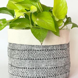 May include: A potted plant with vibrant green leaves and a woven gray and white basket. The basket has a cream-colored fabric lining the top edge. The plant's leaves are a bright, healthy green, contrasting with the basket's neutral tones.