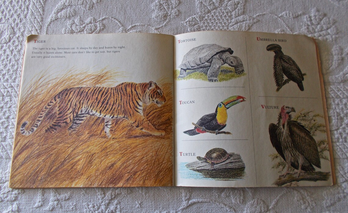 Vintage Children s Book Wild Animals From Alligator Etsy vintage-children-s-book-wild-animals-from-alligator-etsy