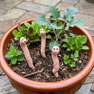 以下が含まれることがあります： 土と様々な緑色の植物（レタスやミントなど）が入ったテラコッタの鉢。驚いた表情の3匹のピンク色のユーモラスなミミズの置物が植物の間に置かれ、庭の雰囲気に遊び心を加えています。