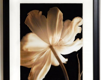 Framed Flower Photographic Print