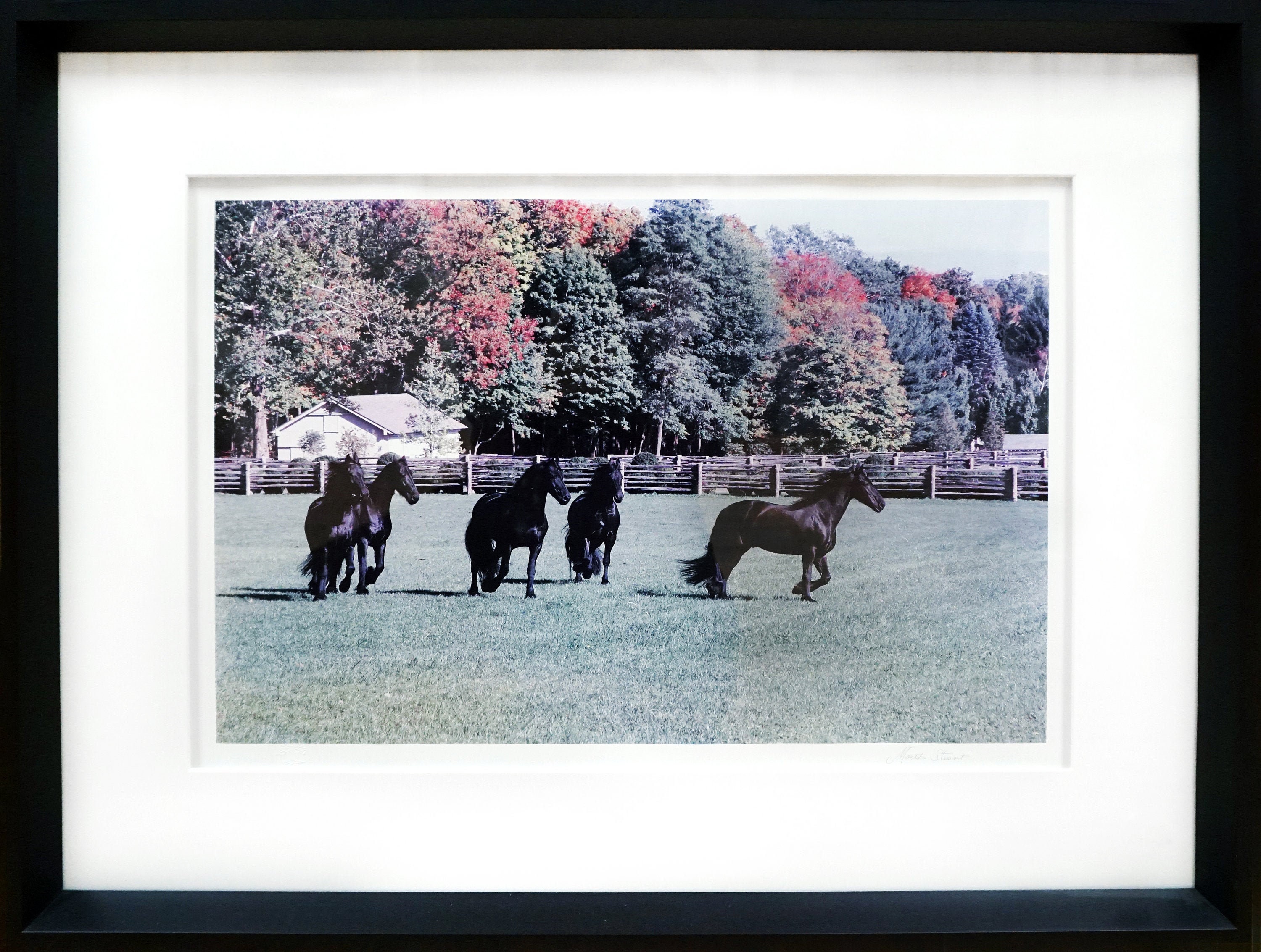 Framed Print of Horses by Martha Stewart Etsy