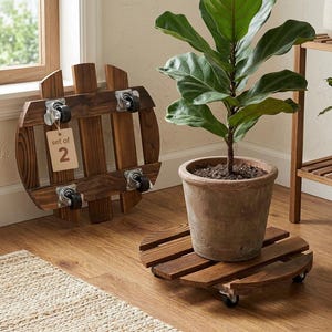 birkin philodendron toxic Philodendron Birkin – Lichtenfelt's main image 1