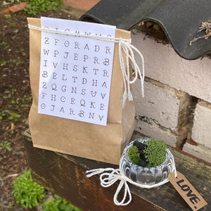 Mini Plant Desk Decor Kit | Special Gift |  Minimal Glass Home Decor with Moss