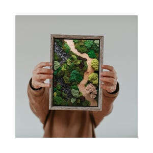 Puede incluir: Una obra de arte rectangular enmarcada que presenta una escena forestal en miniatura. La obra de arte muestra una variedad de musgos y plantas verdes, con un camino de color claro que serpentea por el centro. El marco es de madera clara.