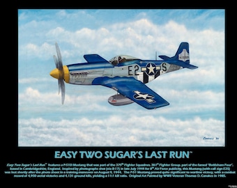 WWII Military Planes Poster of P-51 Mustang