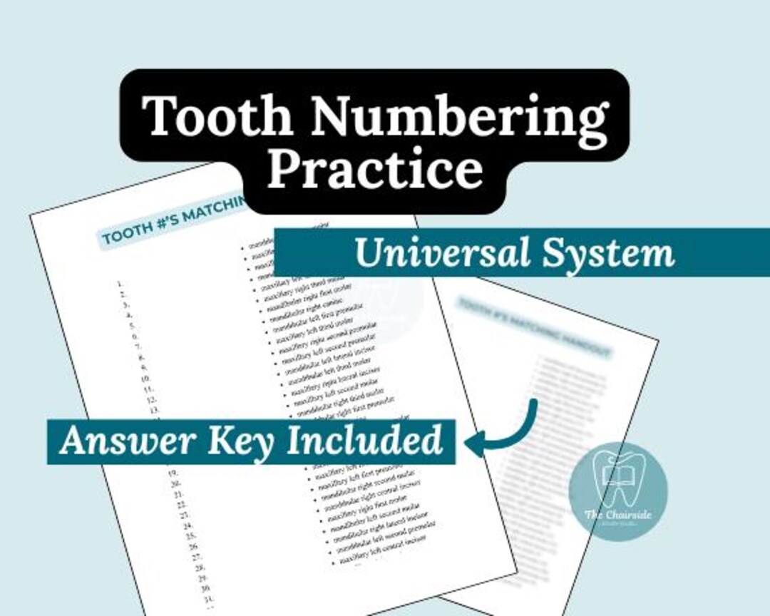 Tooth Numbers Activity Tooth Numbering Worksheet | Dental Numbering System Practice | Dental ...