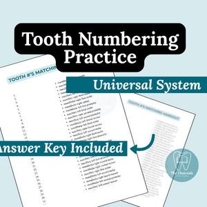 Hoja de ejercicios de numeración dental / Guía de estudio para asistente dental / Aprenda el sistema de numeración universal / Anatomía dental imprimible + Clave de respuestas
