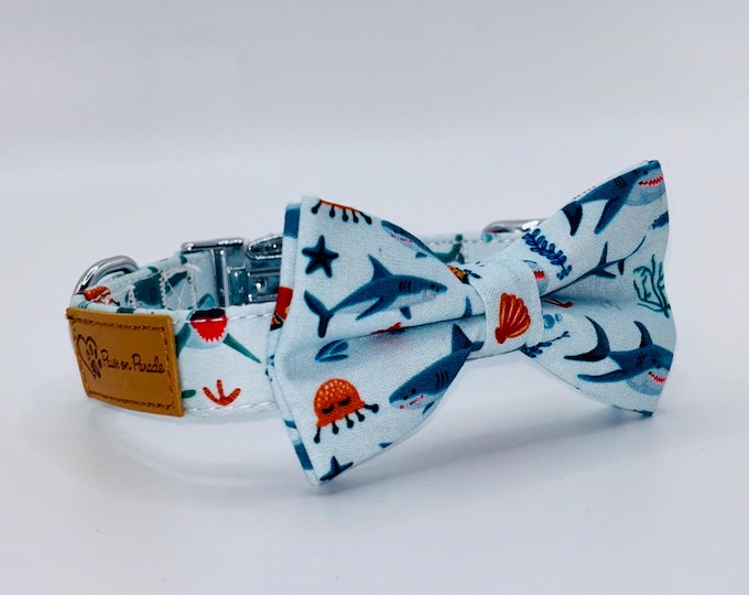 Paws On Parade Little Shark Collar With Removable Bow