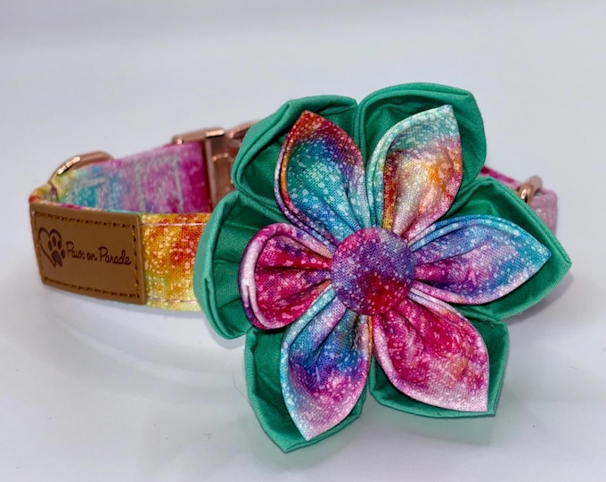 Paws On Parade Colour Splash Flower Collar With Removable Bow