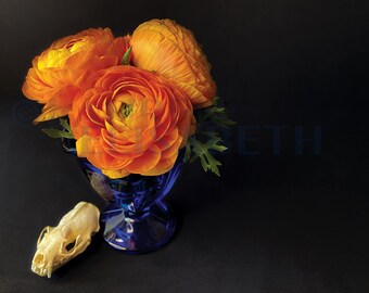 Schönheit und Verfall V1 6er Pack Fine Art Archival Print Postkarten-Set mit Schädeln und Blumen Stillleben von LaurenElisabeth Photography