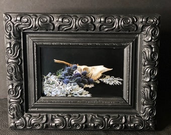 OOAK Framed Print - Winter Fantasy - Deer Skull with Blue Thistle and Silver Ragwort