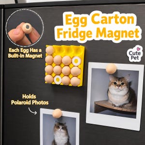 Könnte beinhalten: Ein gelbes Kühlschrankmagnet-Set in Eierkarton-Optik aus Kunststoff, bestehend aus einem Rastertablett und mehreren runden, beigen Eier-Magneten. Einige Eier zeigen ein weiß-gelbes Spiegelei-Design und dienen zum Befestigen von Polaroid-Fotos.