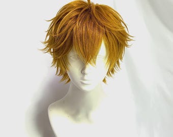 Genshin impact tartaglia ,Custom Wig Commission, Cosplay Wig