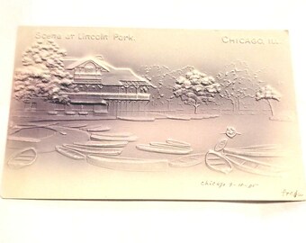 Szene im Lincoln Park Chicago Postkarte Geprägtes Airbrush September 18 September 1905 Freda
