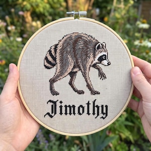 Jimothy Raccoon Cross Stitch Pattern PDF | Cute Animal Chart | DMC Colors