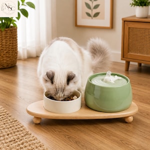 May include: A light-coloured cat eats from a small white ceramic bowl placed on a wooden stand next to a sage green ceramic water fountain. The fountain features a small white whale-shaped topper and a rippled surface design for flowing water.