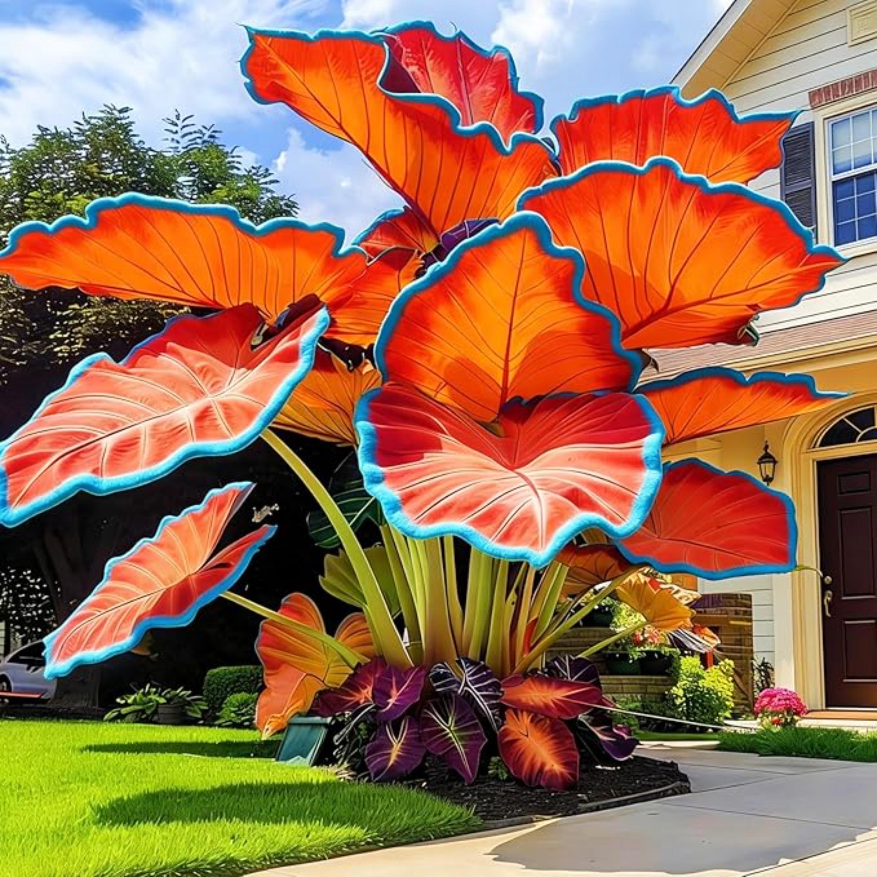 Colorful Elephant Ear Plants - Etsy