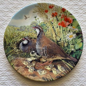 Può includere: Piatto decorativo rotondo con un'illustrazione dettagliata di pernici e dei loro pulcini in un ambiente naturale. Il piatto raffigura una madre pernice con i suoi pulcini, uova e un nido, circondati da fiori selvatici ed erba alta. Bordo azzurro.