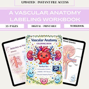 Può includere: Un quaderno di lavoro digitale e stampabile per l'etichettatura dell'anatomia vascolare. La copertina presenta un'illustrazione colorata di un cuore, reni e altri elementi anatomici. Il quaderno include più di 35 pagine.