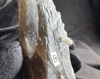 May include: A translucent, smoky gray mineral specimen with a jagged, crystalline texture. The cluster features elongated, pointed formations and a small white rectangular label with the letter B attached to the front surface of the stone.