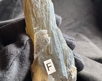 May include: A translucent, elongated, smoky-toned crystal specimen with a textured, striated surface and sharp, jagged edges. A small white rectangular label with the black letter F is affixed to the lower section of the mineral formation.