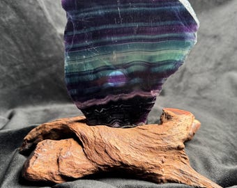 May include: A polished, translucent fluorite slab featuring horizontal bands of deep purple, teal, and green, with a small white square sticker labeled 2. The slab is securely mounted in a natural, textured brown driftwood base.