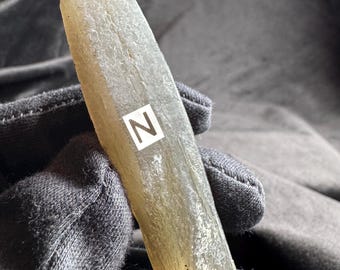 May include: A translucent, elongated, light-brown crystal point with a faceted, tapered top. The crystal has a rough, textured surface and features a white square label with the letter N printed in black, positioned centrally on its side.