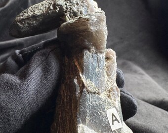 May include: A raw, greyish-brown mineral specimen with a crystalline structure and a rough, textured surface. The stone features a prominent, jagged protrusion at the top and a small white sticker with the letter A attached to the side.