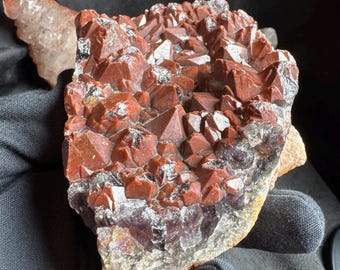 May include: A cluster of deep red, iron-stained quartz crystals with sharp, pointed terminations. The base of the specimen shows translucent, pale purple amethyst formations, creating a distinct contrast between the dark red top and the lighter, crystalline bottom section.