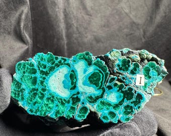 May include: A raw malachite and chrysocolla mineral specimen featuring vibrant shades of emerald green and bright turquoise with concentric circular patterns. A small white rectangular label with the letter I is attached to the right side.