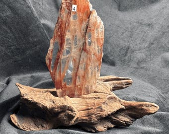 May include: A translucent, jagged mineral specimen with prominent reddish-brown veining and a small white square label marked with the number 4, securely mounted into a textured, weathered piece of brown driftwood.