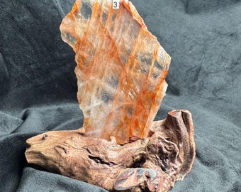 May include: A translucent, jagged-edged orange and white crystal slab featuring a small white sticker with the number 3, securely mounted into a textured, dark brown piece of natural driftwood that serves as a sturdy base for the mineral specimen.