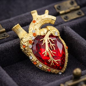 May include: A gold-toned anatomical heart brooch featuring a large, faceted deep red crystal center. The metallic structure is detailed with textured gold veins and arteries, accented by small, clear and orange round crystals along the edges.