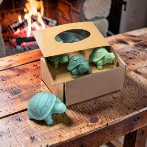 May include: A set of teal turtle figurines, some inside a cardboard box with a clear window, and one turtle figurine outside the box. The turtles are on a rustic wooden table, with a fireplace in the background.
