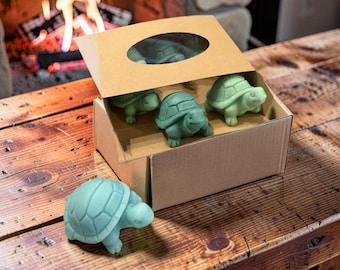 タートルワックスメルト：ココナッツ＆ソイブレンド、6個入り