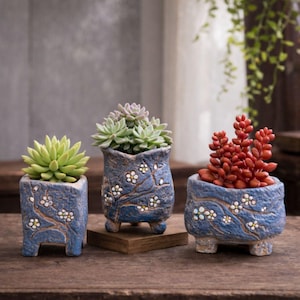 May include: Three blue ceramic planters with succulents. The planters have a textured finish and are decorated with white floral designs. The succulents are green and red. The planters are on a wooden surface.