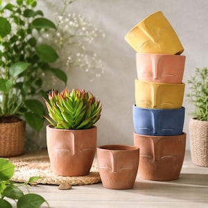 May include: A collection of terracotta and colorful face-shaped planters. The planters are stacked and arranged, showcasing a variety of colors including yellow, pink, blue, and terracotta. One planter holds a green succulent plant.