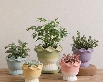 Ruffled Edge Minimalist Ceramic Planter, Petal Shaped Colorful Flower Pot, Modern Plant Pot with Drainage Hole, Matte Desk Planter Gift Idea
