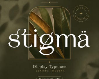 Stigmä Display Font OTF TTF, Modern Elegant Typeface for Cricut Canva