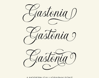 Gastonia Script Font, Modern Handwritten Calligraphy Typeface for Cricut Canva Procreate Logos