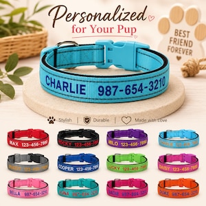 May include: A bright turquoise dog collar featuring a plastic buckle, a metal D-ring, and personalized text reading CHARLIE 987-654-3210. The collar is displayed alongside twelve other collars in various colors with different names and phone numbers.