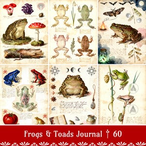 May include: A collection of vintage-style illustrations featuring frogs and toads, mushrooms, and botanical elements. The artwork includes various frog species, a moth, and handwritten text. The title "Frogs & Toads Journal" is displayed at the bottom.