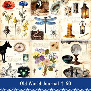 May include: A collage of watercolor illustrations featuring botanical studies, insects, and mystical elements. Includes a poppy, dragonfly, spider, and a crystal ball. The text "Old World Journal" is at the bottom.