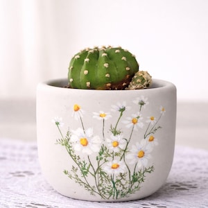 Puede incluir: Un pequeño cactus verde y redondo en una maceta de cerámica blanca. La maceta está decorada con un diseño floral de margaritas pintado a mano. La maceta está sobre un mantel de encaje blanco.