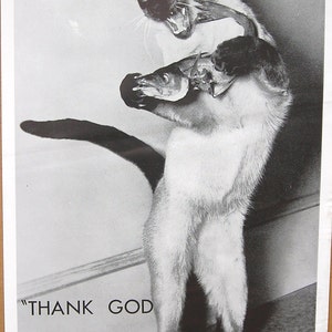 Vtg 1970's Thank God It's Friday Kitty Hippie Poster image 1