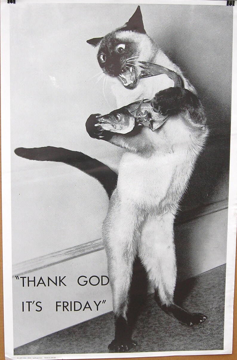 Vtg 1970's Thank God It's Friday Kitty Hippie Poster image 1
