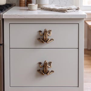 May include: Two antique brass-toned metal drawer knobs shaped like frogs, each featuring detailed limbs and a textured body. These decorative hardware pieces are mounted on the front of two stacked light gray kitchen cabinet drawers.