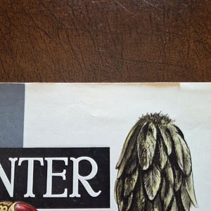 Puede incluir: Una superficie de papel impresa que presenta el texto blanco parcial DINTER en una fuente serif negrita sobre un fondo rectangular negro. A la derecha, una ilustraci&oacute;n bot&aacute;nica detallada de una estructura vegetal verde, texturizada y c&oacute;nica.