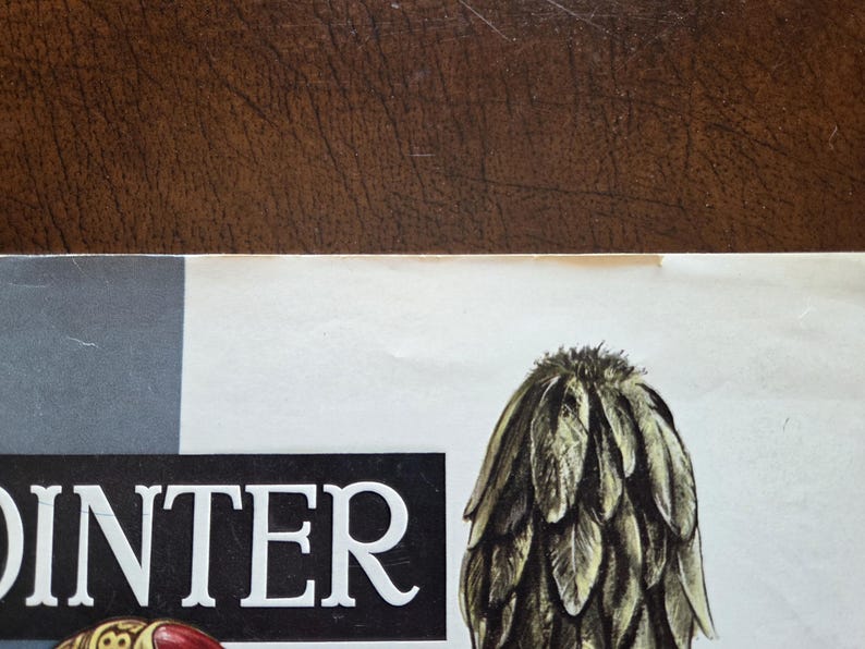 Puede incluir: Una superficie de papel impresa que presenta el texto blanco parcial DINTER en una fuente serif negrita sobre un fondo rectangular negro. A la derecha, una ilustraci&oacute;n bot&aacute;nica detallada de una estructura vegetal verde, texturizada y c&oacute;nica.